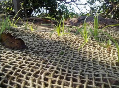 Arihantmultifibres-Yarn